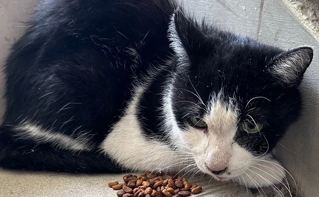 感謝のメールとオリジナルグッズ10000