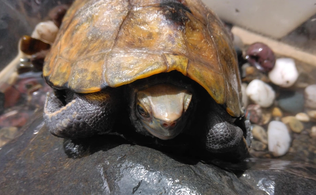 感謝のメールとオリジナルグッズ2点50000