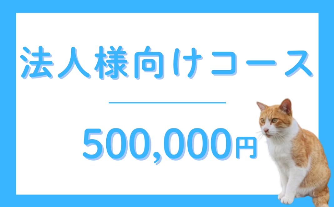 法人様向けコース|500,000円