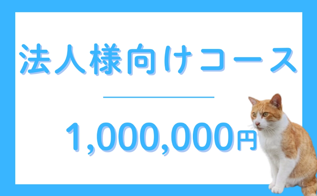 法人様向けコース|1,000,000円