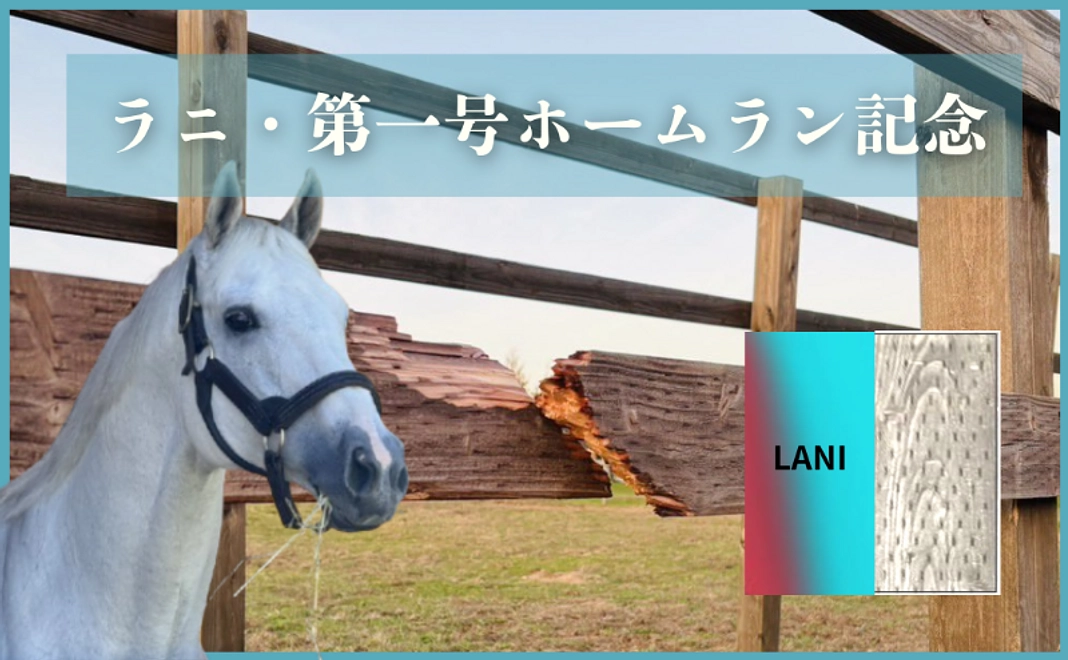 グッズで応援コース｜※10個限定※【ラニ第一号ホームラン記念】たてがみ入りラニの壊した第一号牧柵で作った限定ミニプレート