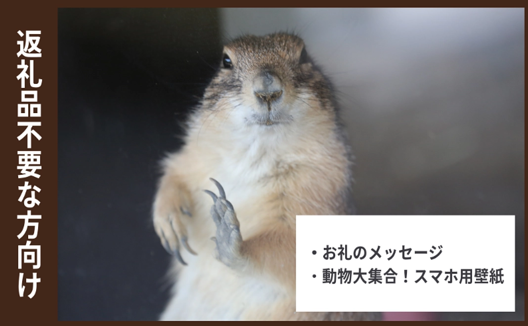 返礼品不要な方向け応援コース｜3,000円