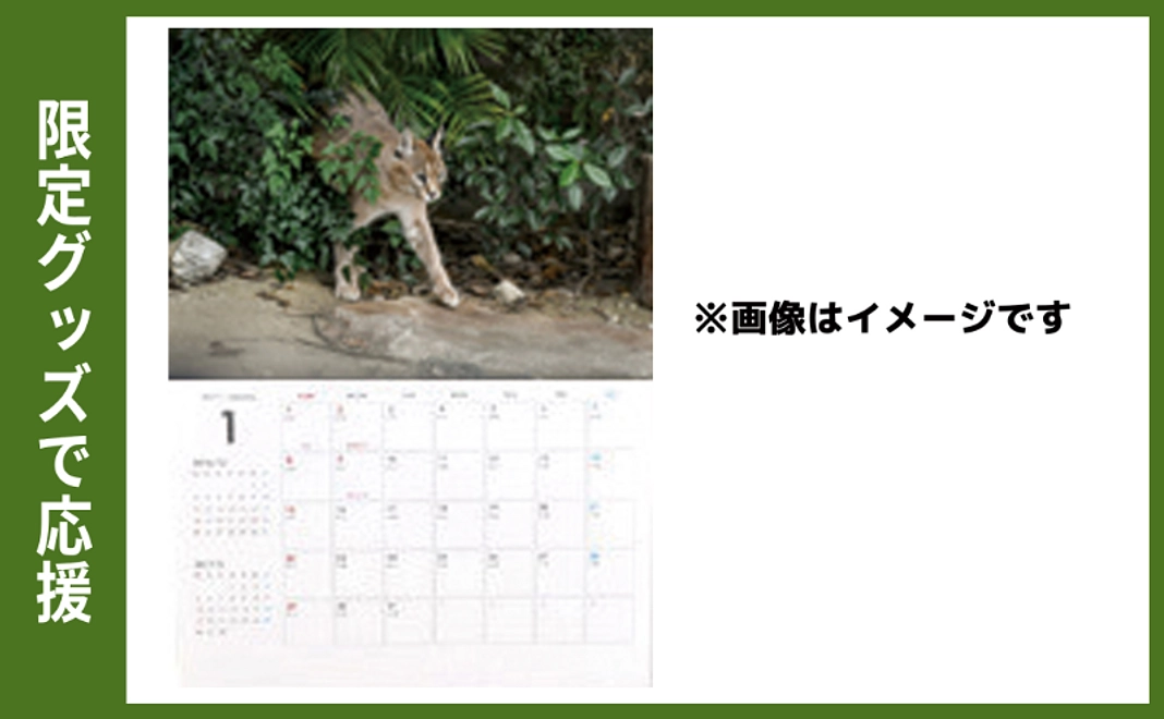 限定グッズで応援｜オリジナルカレンダー