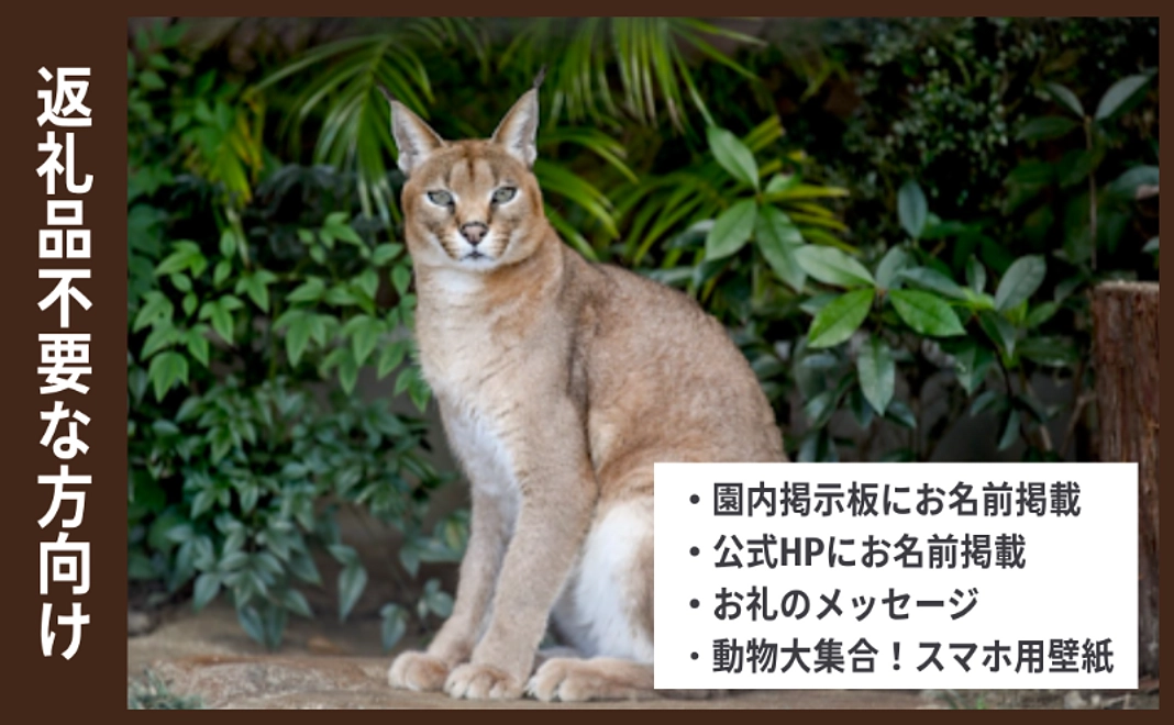 返礼品不要な方向け応援コース｜300,000円