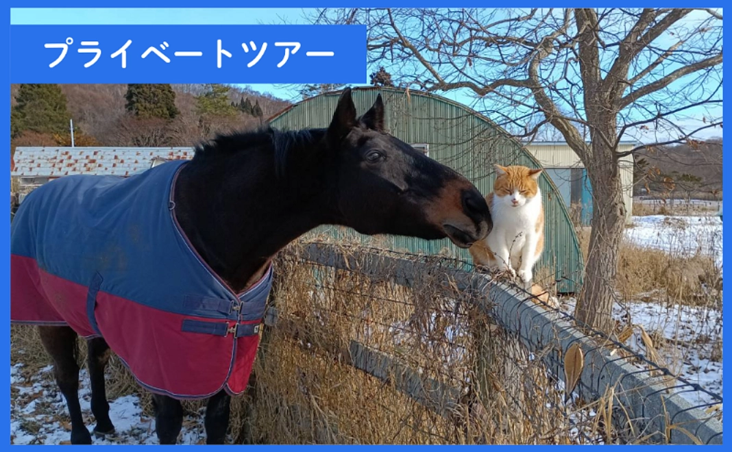 ※限定5組※【クラウドファンディング限定】プライベートツアー