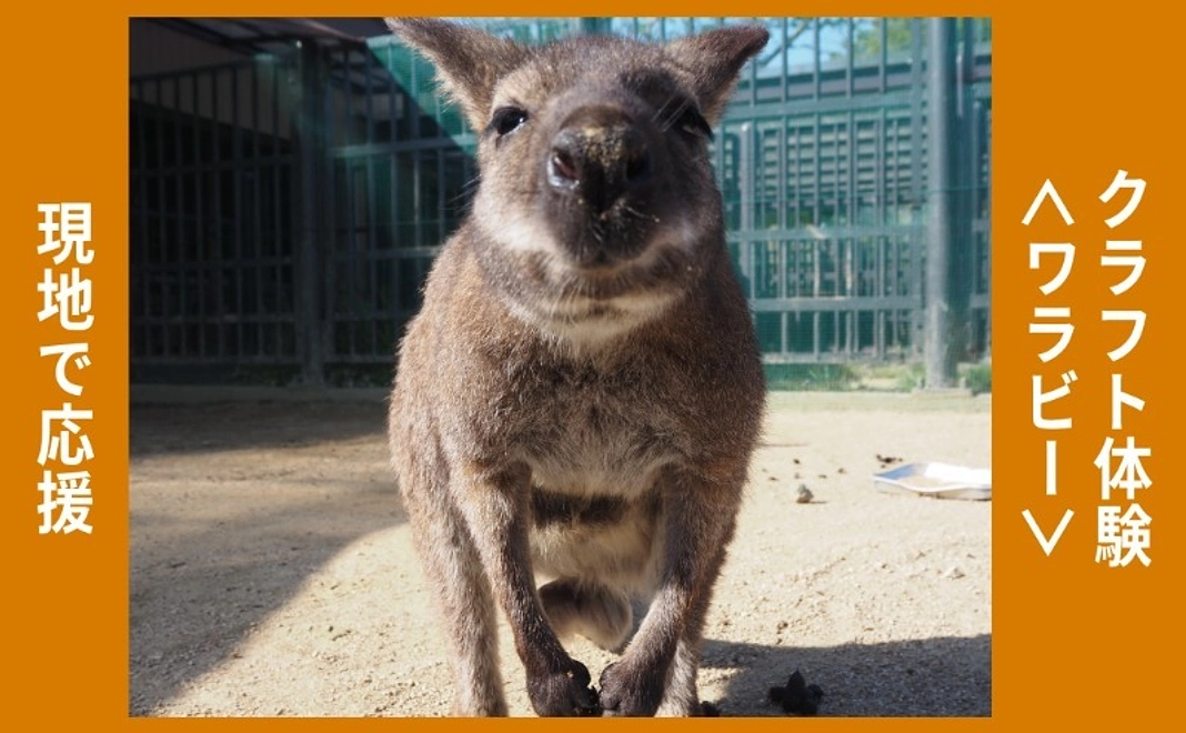 現地で応援｜クラフト体験＜ワラビー｜3/17(火)＞（2名まで可）