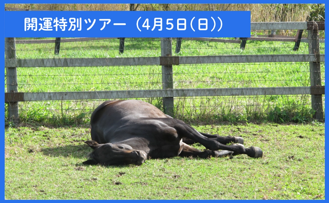 ※限定6名※【クラウドファンディング限定】開運特別ツアー(4月5日(日))