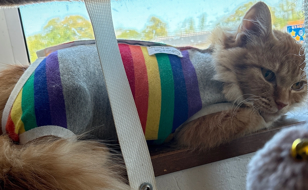 感謝のメールをお送りします。