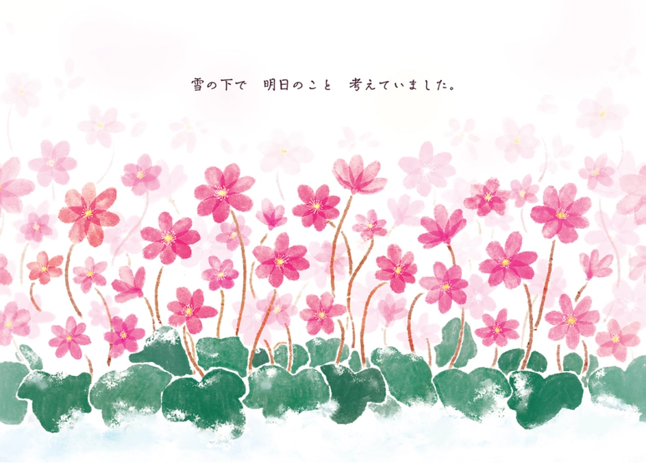 各月の作品、出揃いました。3月：雪割草