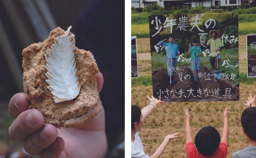 めばえ事&さがし事(ポストカード&3D恐竜発掘キット)