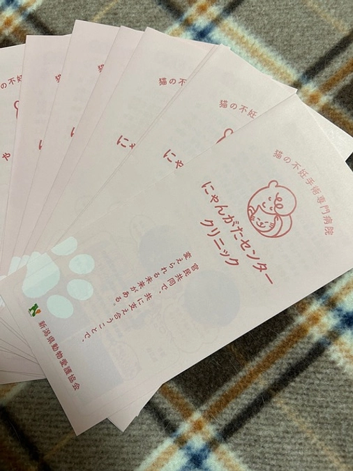 「にゃんがたセンタークリニック」の1年を振り返って