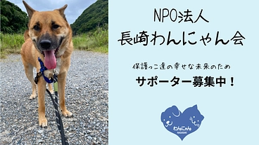長崎わんにゃん会サポーター募集!活動継続のために のトップ画像