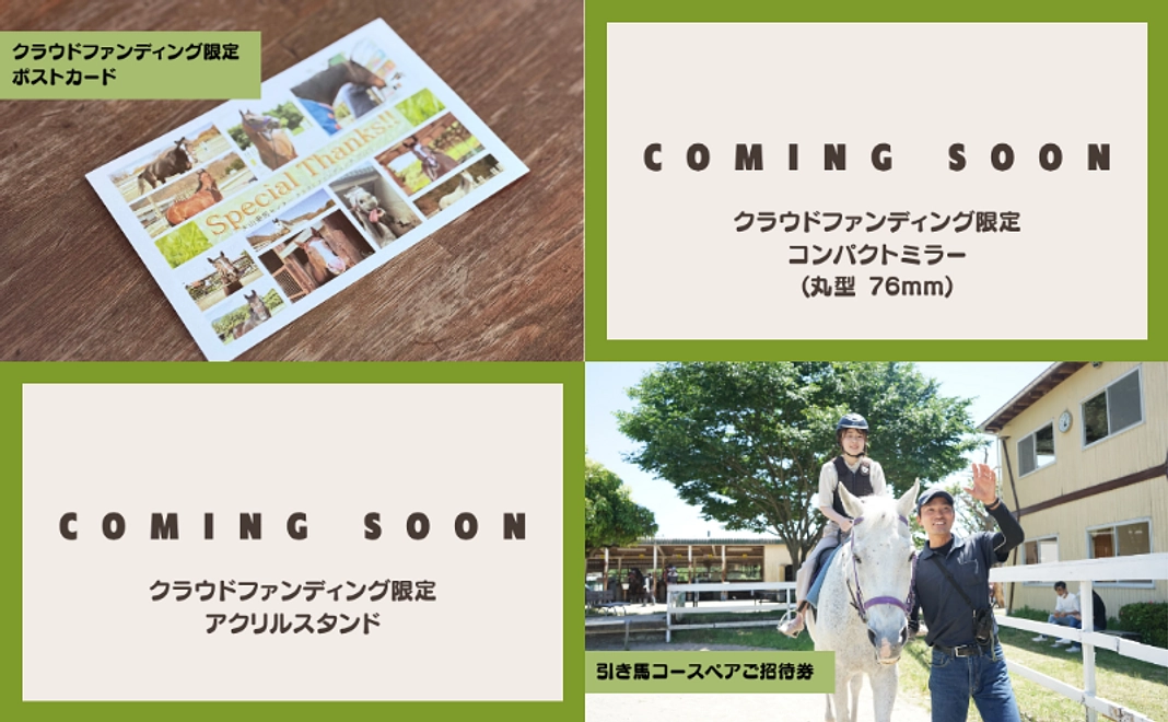 【感謝の気持ちを届けたい】乗馬体験チケットつきセット