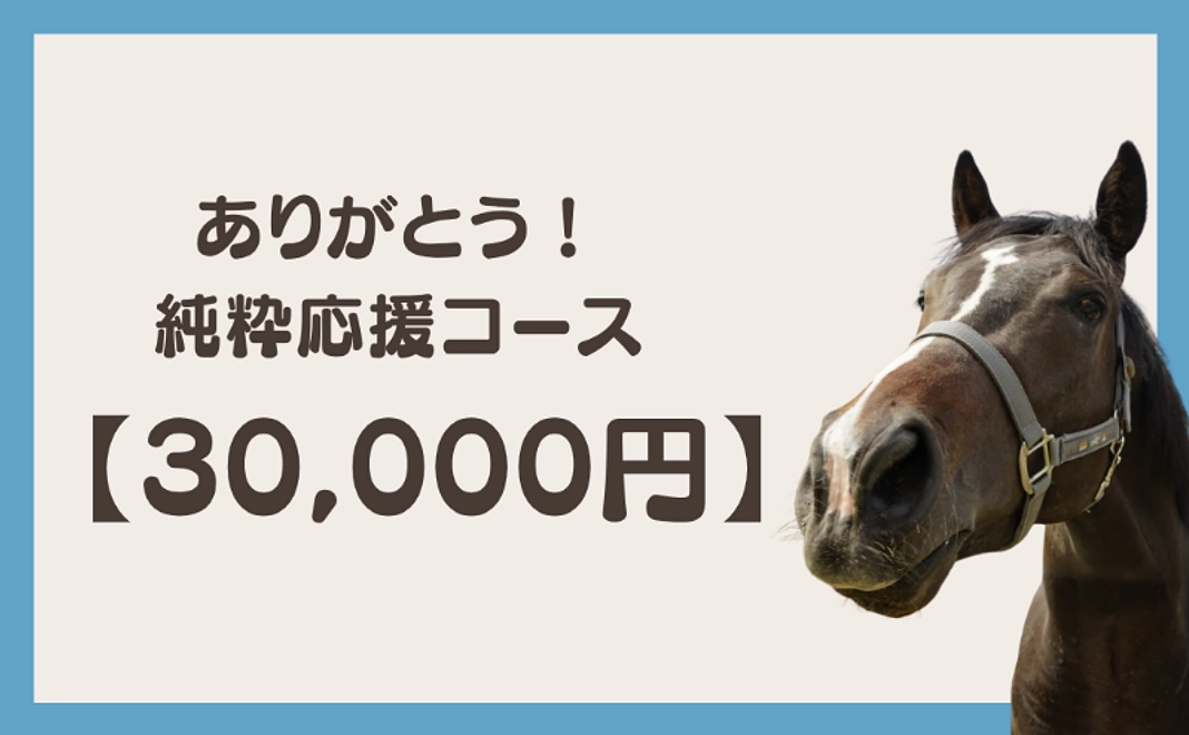 ありがとう！純粋応援コース (30,000円)