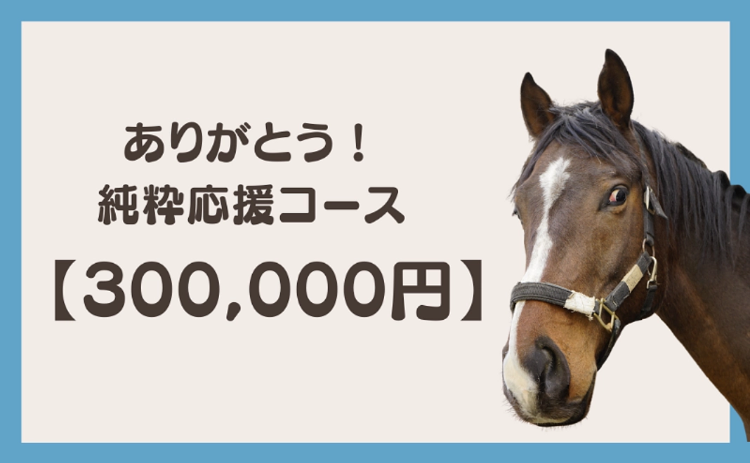ありがとう！純粋応援コース (300,000円)