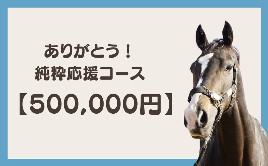 ありがとう！純粋応援コース (500,000円)