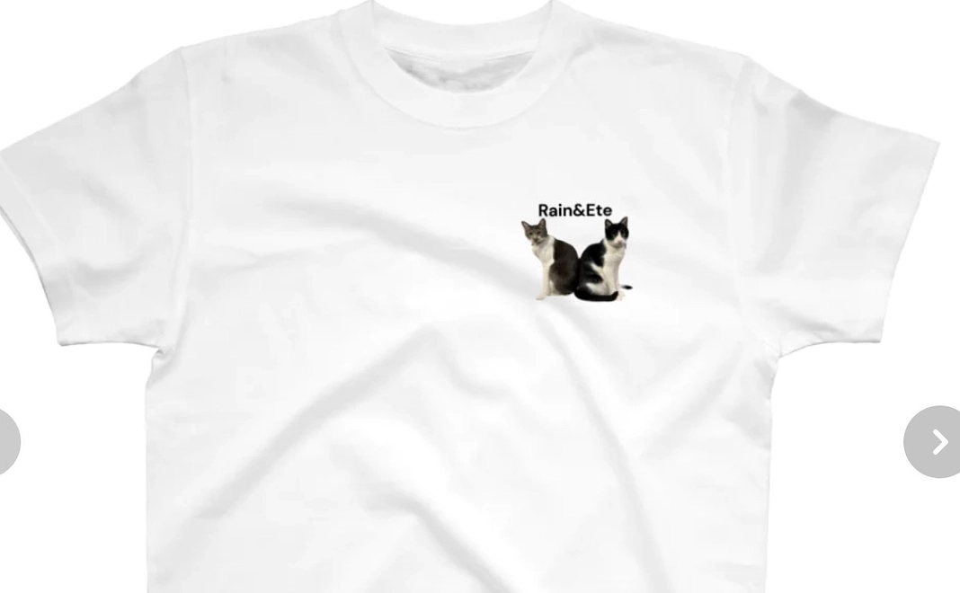 感謝メール、レインとエテオリジナルTシャツ