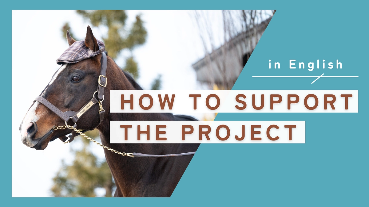 How to Support by Credit Card（English）