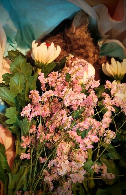 お婆ちゃん猫さん、秋のお空へ…