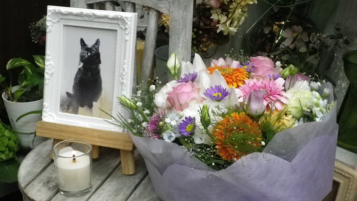 悲しみを、少しでも癒せるように。 旅立つペットへ、花増量のヒュ