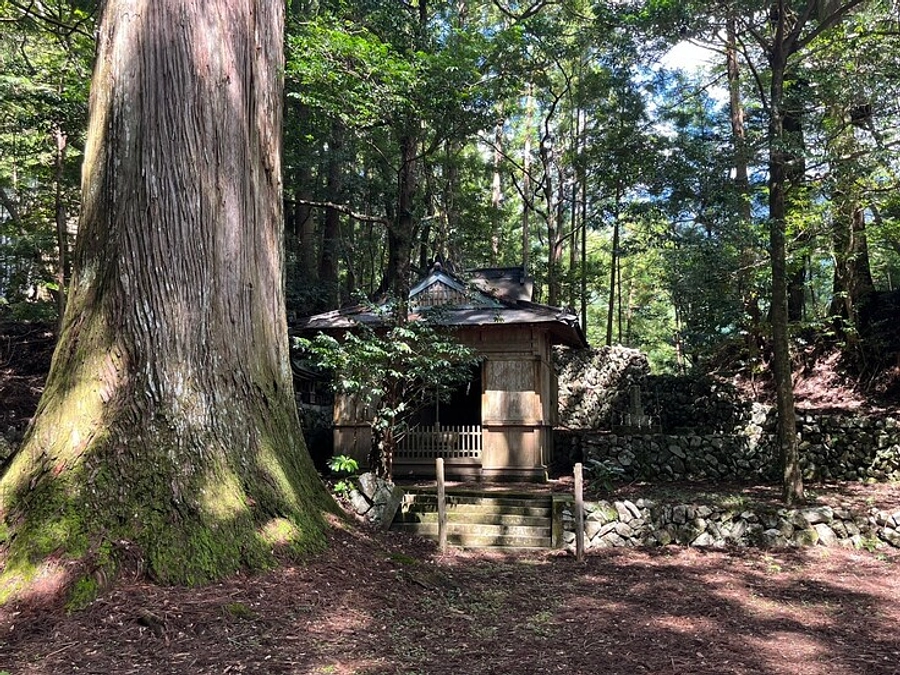 【雲隠れの里プロジェクト】神社の鳥居再建を開始しました！