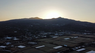 地域皆んなで支え合う！坂田農園から広げる助け合いの農業プロジェクト のトップ画像