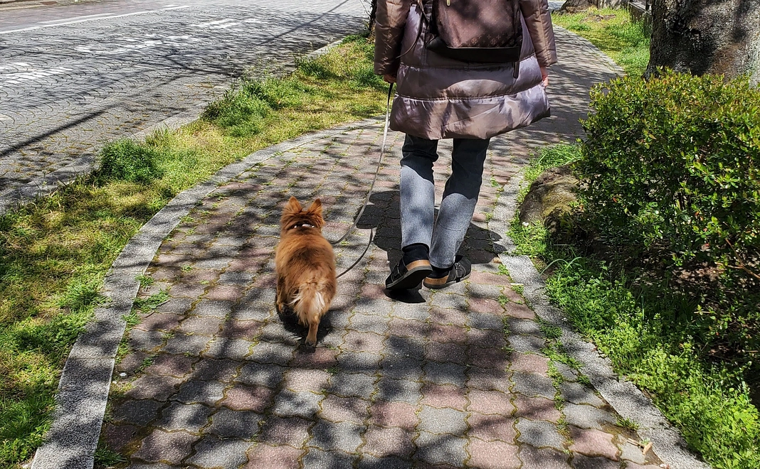 リターンなし　10000円