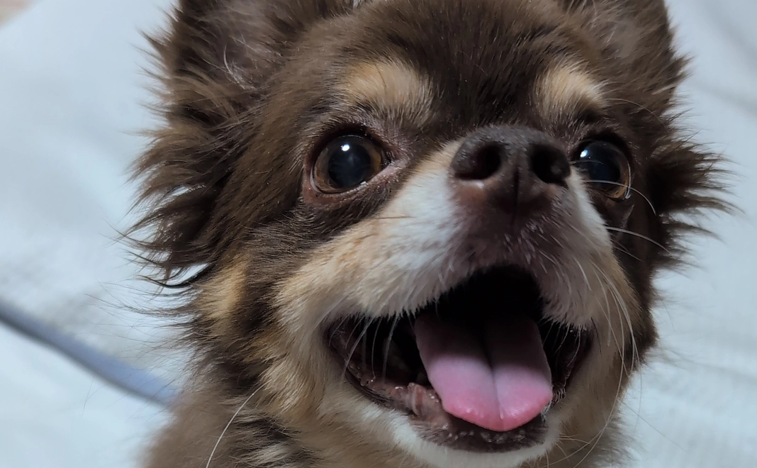 リターンなし　30000円