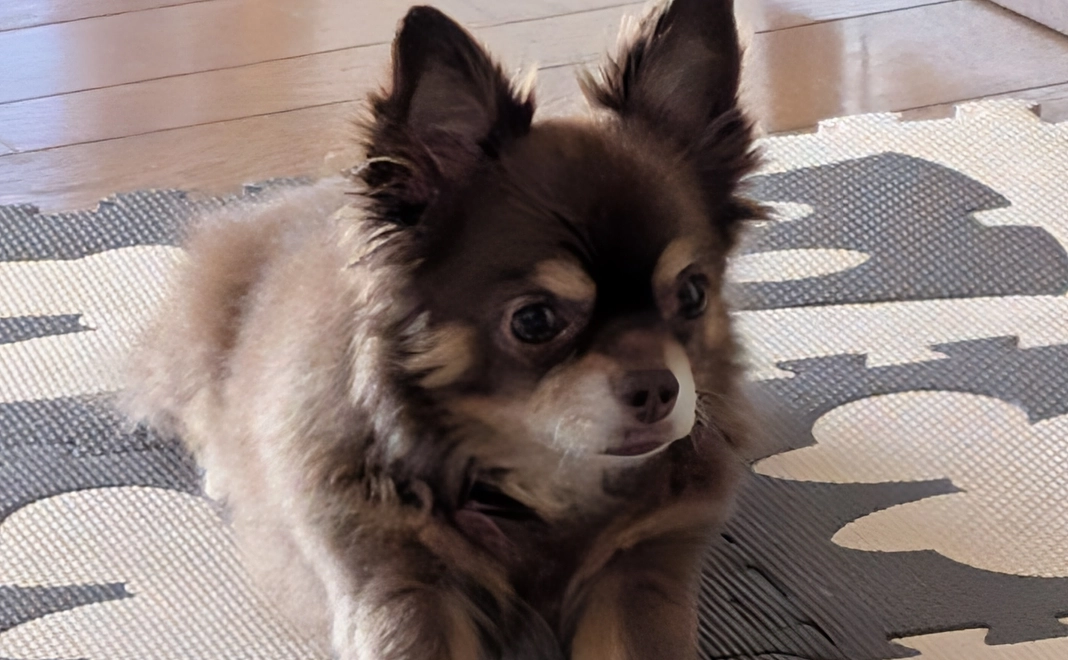 リターンなし　50000円