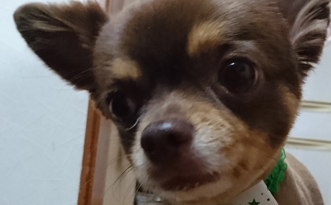 感謝のメッセージ　3000円