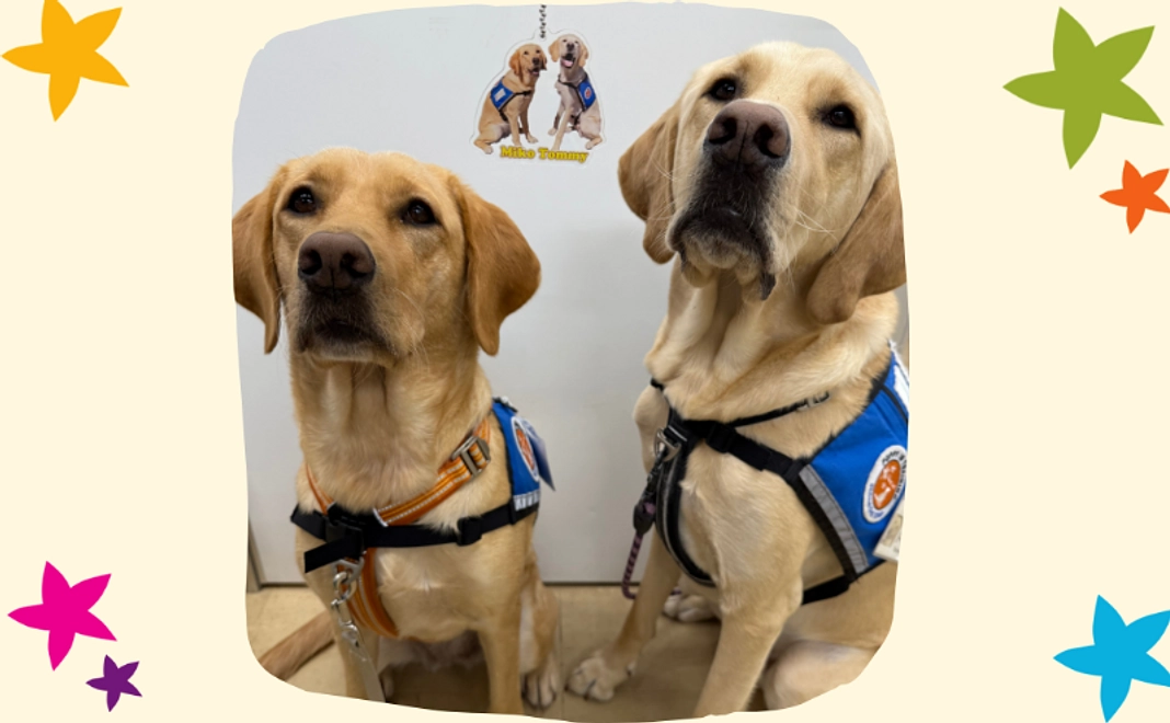 【候補犬トミーとミコ】アクリルキーホルダー【税制優遇対象外】