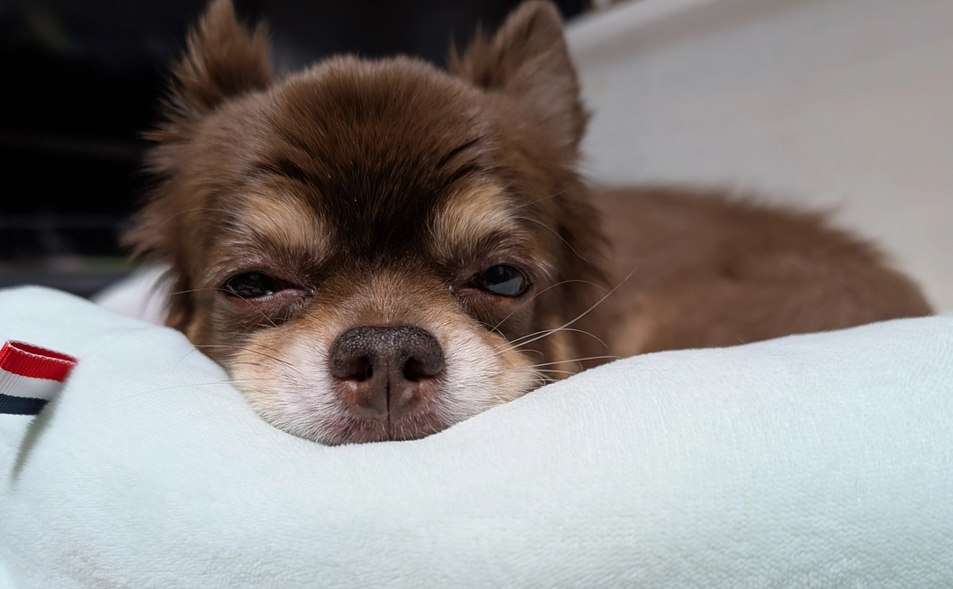 感謝の手紙　100000円