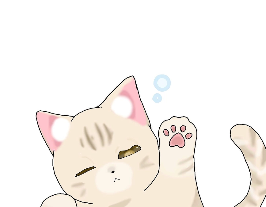 　施設で暮らす猫の数がMAXに