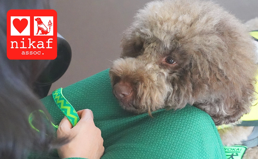 応援コース【1万円】