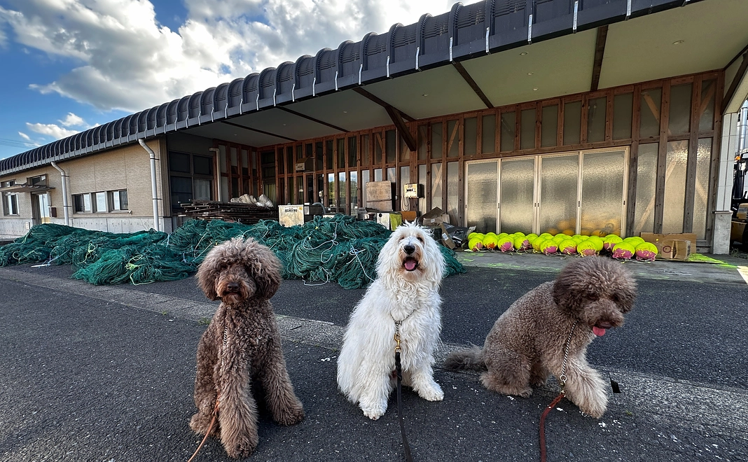 応援コース【500万円】