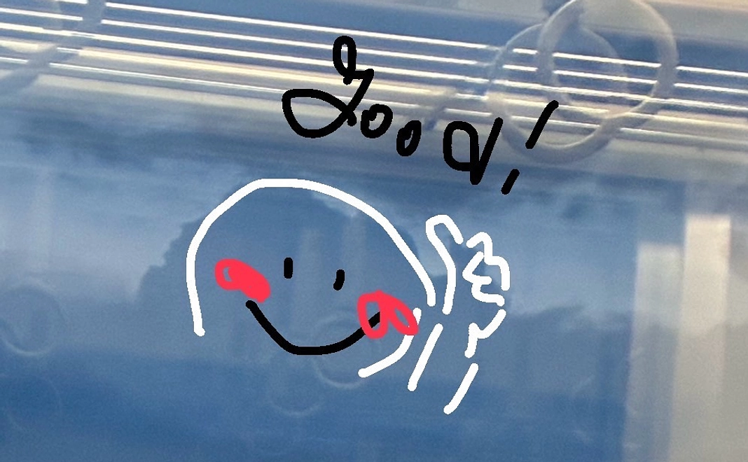 【お礼のメッセージ】