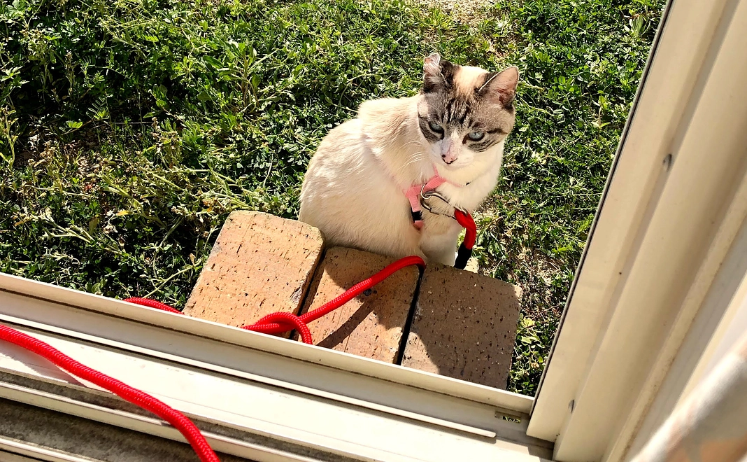 【感謝のメッセージ】