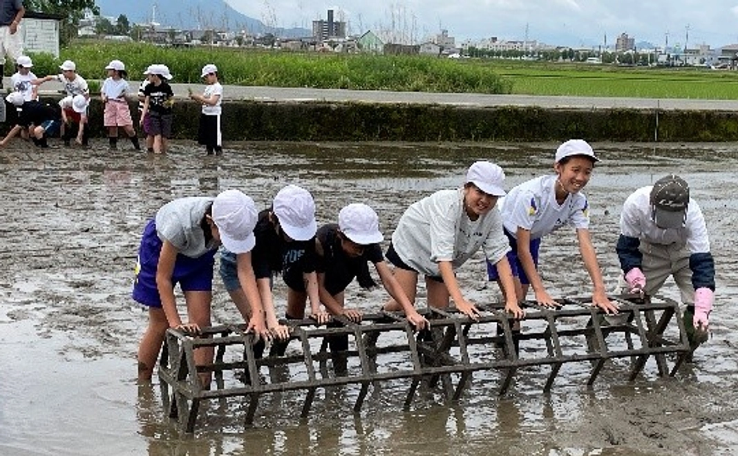 円山地区産のリゾット米でつくった珍酒リゾッシュ(日本酒)