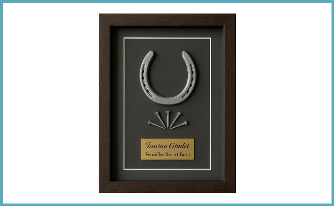 【For Supporters outside Japan】Horseshoe Frame (1 Horseshoe)