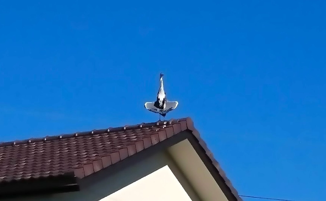 【お名前の掲載】