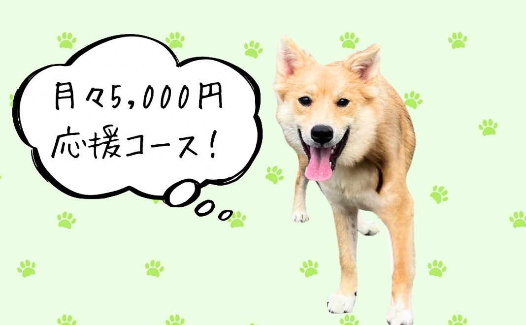 月々5,000円応援コース