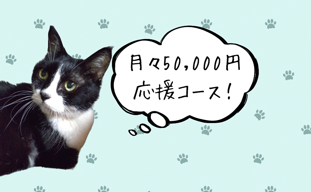 月々50,000円応援コース