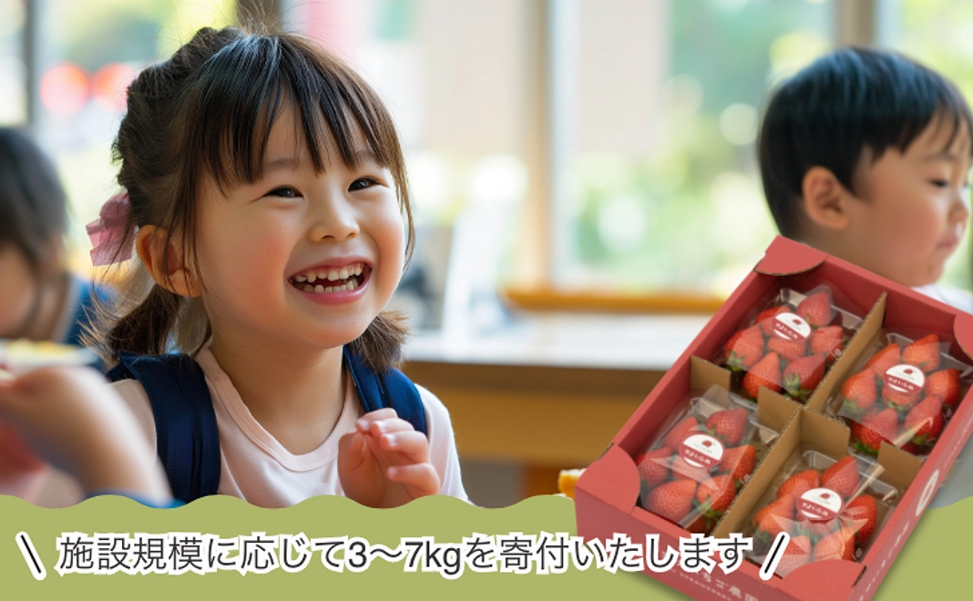 【個人様コース】いちご250g×4パック