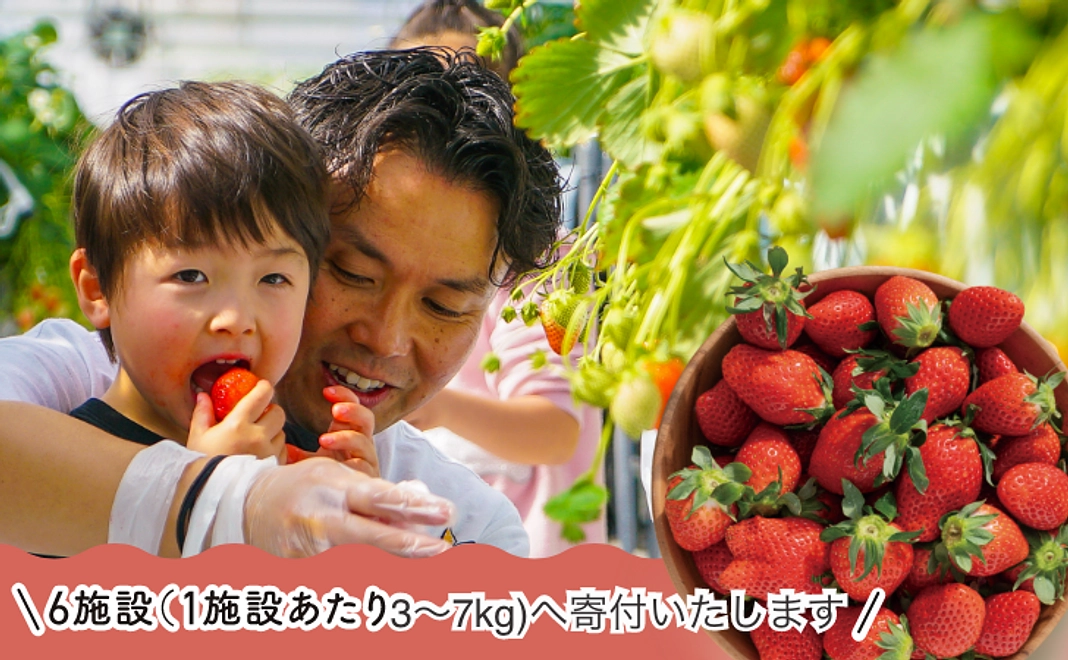 【法人様/いちご狩りコース】いちご狩り体験（20名様）