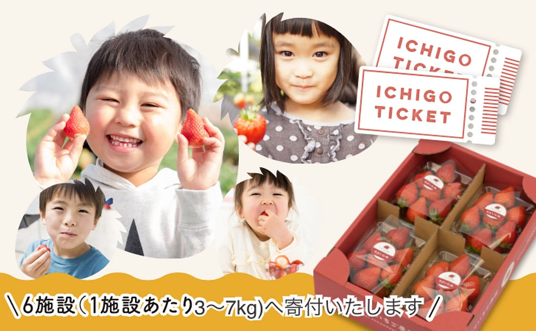 【法人様/チケットコース】いちご250g×4パックお届けチケット（20枚）