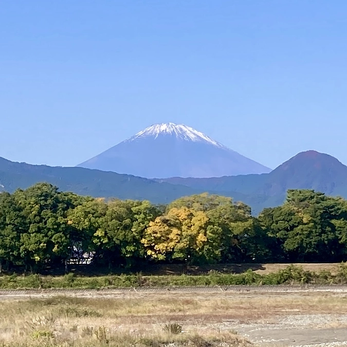残り３日となりました