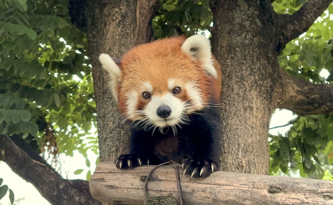 【控除対象】10,000円応援コース