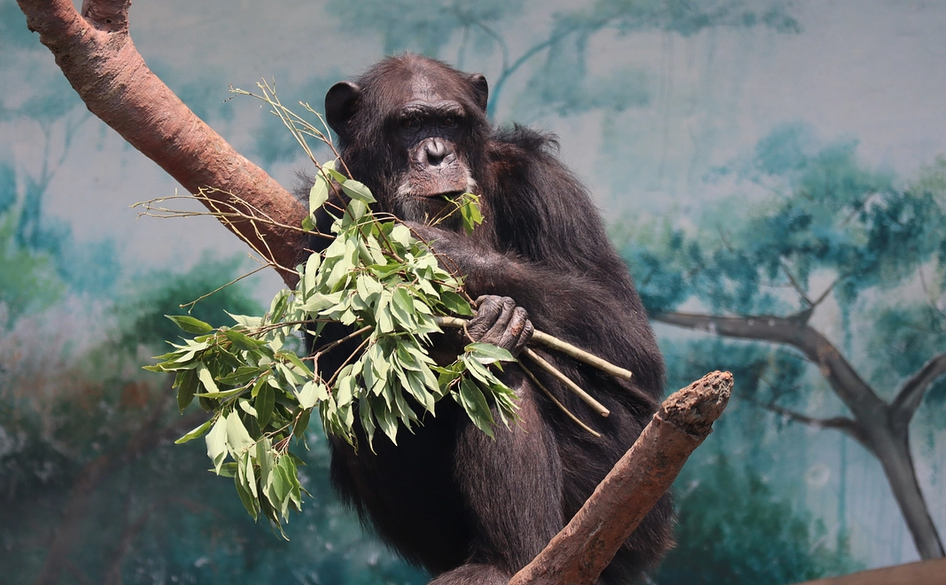 【控除対象】企業名／ロゴをHPに掲載（中サイズ）