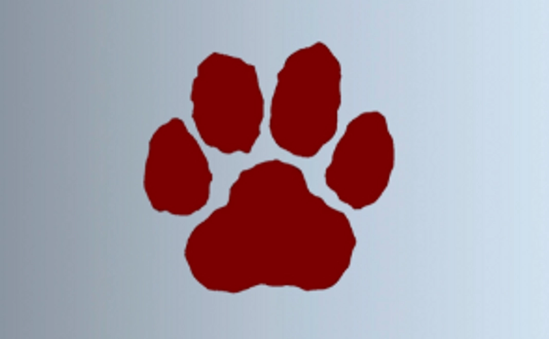 応援【5,000円】