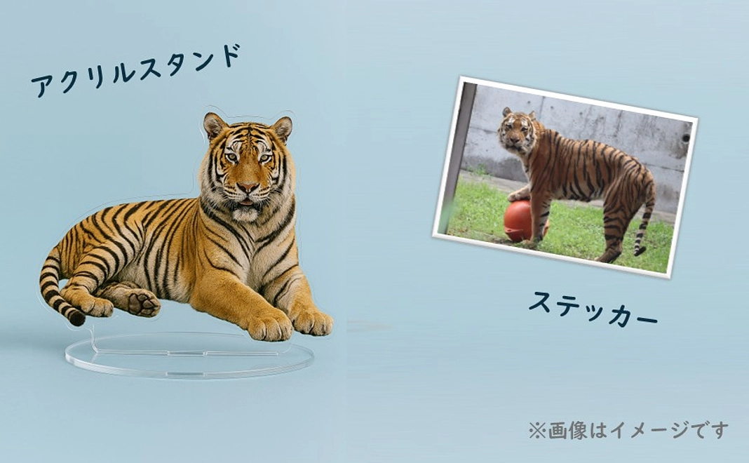 CF記念品セット